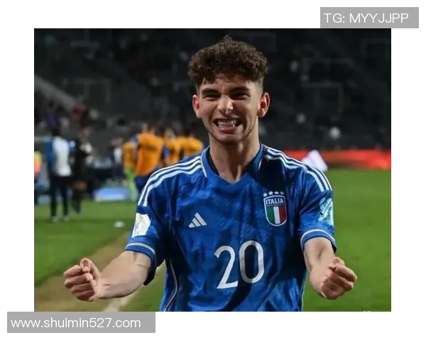 阿尔巴尼亚现役足球明星盘点 聚焦国脚们的赛场表现与未来前景