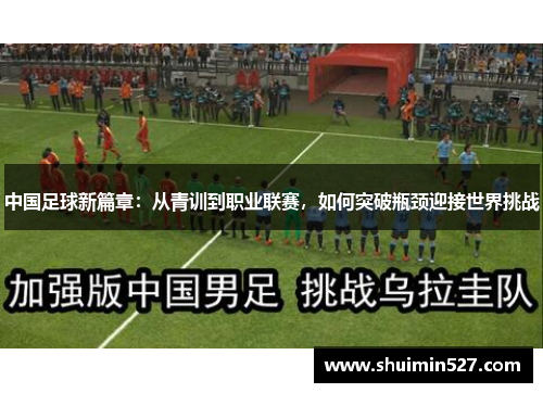 中国足球新篇章：从青训到职业联赛，如何突破瓶颈迎接世界挑战