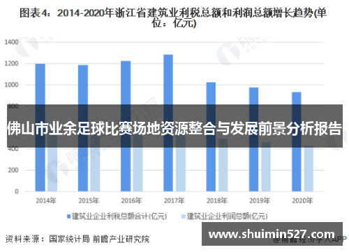 佛山市业余足球比赛场地资源整合与发展前景分析报告